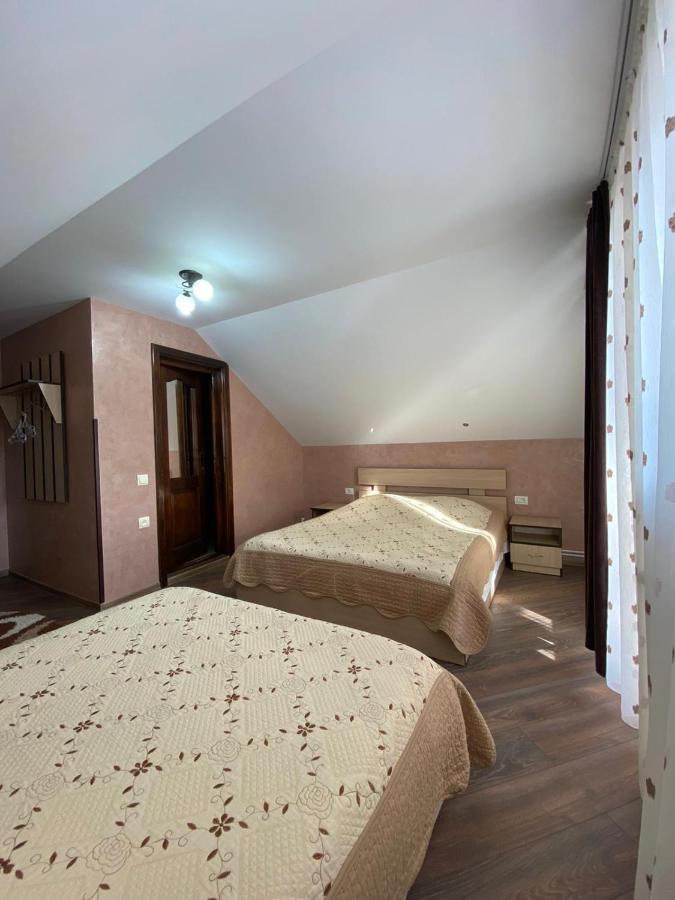 Pensiunea Casa Alexandra Vatra Dornei Exterior foto